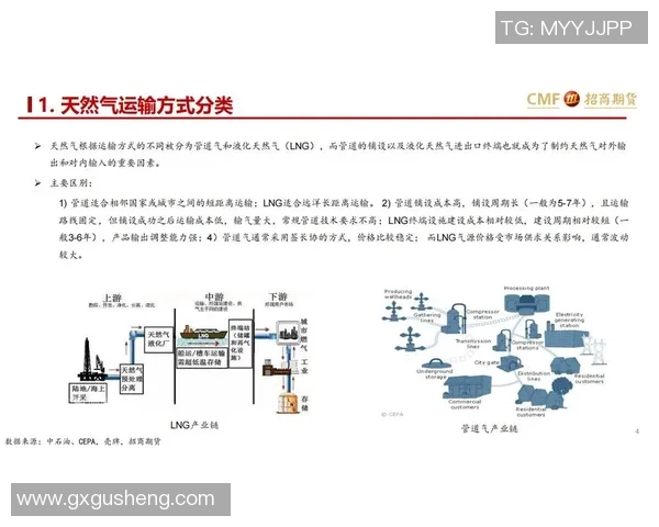数据分析揭示LNG市场配合表现及其对能源供应链的影响探讨